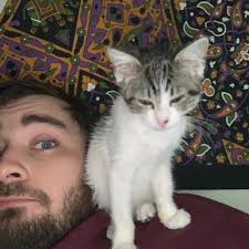 Macy Rhodes (@MacyRhodes)