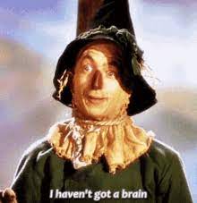 If i only had a brain: If I Only Had A Brain Gifs Tenor