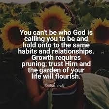 Pin On Quotes