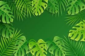 baixe fundo com folhas tropicais gratuitamente in 2020 tropical leaves green leaf background tropical background tropical leaves