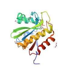 Image result for SBE Formula D touch/com