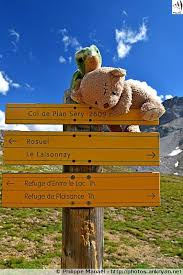 Pancarte Col Du Plan Sery Savoie Duo Col