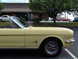 Image result for Phoenician Yellow 1964 Mustang