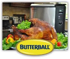 Butterball Indoor Turkey Fryer Xl Electric Turkey Fryer
