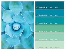 Teal And Turquoise Color Palette We Are