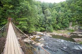 Hiking info for fall creek falls, cane creek falls, and cable trail, located in fall creek falls state park, tennessee. Hiking Fall Creek Falls Cane Creek Falls And Cable Trail In Fall Creek Falls State Park Tennessee