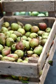 Pin By Country Cottage Living On Fruits And Vegetables Fruits Et Legumes Pear Fruit Fresh Fruit
