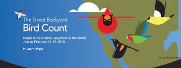 Maybe you would like to learn more about one of these? It S Time For The Great Backyard Bird Count The Adirondack Almanack
