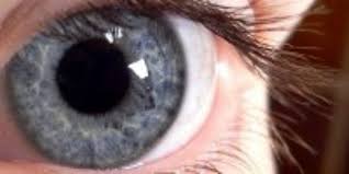 The Meaning Of Pupil Dilation The Scientist Magazine