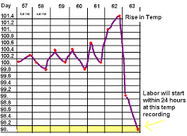 Canine Pregnancy Temperature Chart Actual Temperature Chart