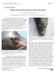 Find eye doctors conveniently located near you in san diego. Pdf Captive Pinniped Eye Problems We Can Do Better