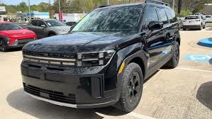 Image result for Phantom Black 2024 Santa Cruz