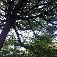 6 & 7, block 3, jalan waterfront 3, 71000 port dickson negeri sembilan darul khusus. Pusat Rekreasi Majlis Perbandaran Port Dickson