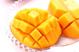 日経パソコン 2021年06月14日号 zip 日経パソコン 2021年06月14日号 rar 日経パソコン 2021年06月14日号 raw 日経パソコン 2021年06月14日号 dl 日経パソコン 2021. ãƒžãƒ³ã‚´ãƒ¼ã®é£Ÿã¹ã‚„ã™ã„åˆ‡ã‚Šæ–¹ã¯ ç¨®ã®å'¨ã‚Šã¯ã©ã†ã™ã‚‹ ç¨®ã®å'ãã‚'çŸ¥ã‚‹ç°¡å˜ãªæ–¹æ³•ã‚'èª¿æŸ»