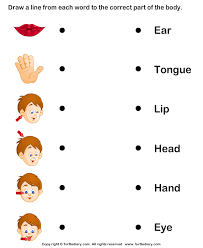 Recognizing body parts add to my workbooks (2) embed in my website or blog Pin On Drawing A Person Body Parts