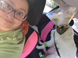 Bark Park in Souris Manitoba for Dog Owners