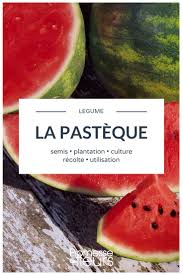 Pasteque Semer Planter Cultiver Recolter En 2020 Pasteque Cultiver Culture Pasteque