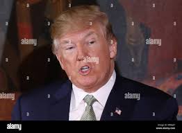 Donal trump hi-res stock photography and images