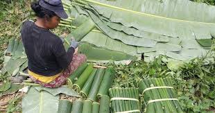 Check spelling or type a new query. Jualan Daun Pisang Sehari Raup Keuntungan Rp 1 Juta