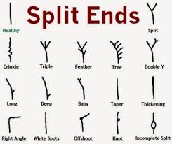 Brush out the hair to remove any tangles and section the hair in to workable divisions. End Your Split Ends All About Life