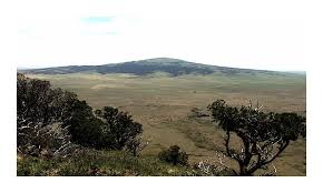 We did not find results for: Raton Clayton Volcanic Field Capulin Volcano New Mexico Museum Of Natural History Science
