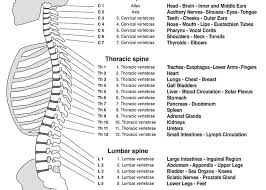 Spine Column Reflexology Chart Vertebrae Greeting Card For