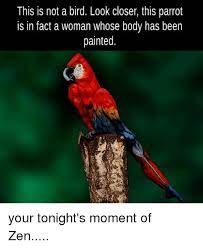 This Is Not A Bird Look Closer This Parrot Is In Fact A Woman Whose Body Has Been Painted Your Tonight S Moment Of Zen Meme On Me Me