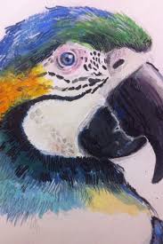 Animal Bird Of Paradise Drawing Parrot Drawing Art Tropical Bird Paradise Parrot Drawing Animal Illustration Kids Art
