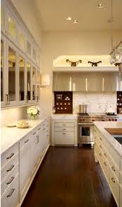 nelsoncuper: mirrored kitchen cabinets?