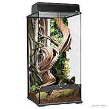 Vivarium Complete Care Guide How To Build Glass Terrarium Terrarium Reptiles