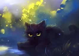 1920x1200 cute ladybug wallpaper high quality resolution. 48 Black Cat Wallpaper Drawings On Wallpapersafari
