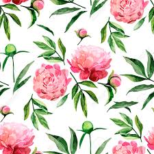 All pictures are in high quality and resolution. Watercolor Peonies Vector Seamless Pattern Floral Design Royalty Free Cliparts Vectors And Stock Illustration Image 56287481