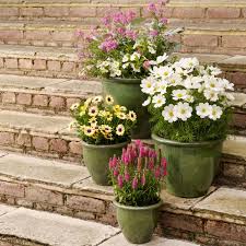 Buy Glazed Ceramic Planter - Deep Blue: Delivery By Crocus
