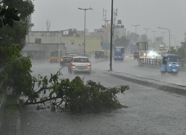 Heavy rain leaves a trail of widespread damage in Bengaluru - The Hindu