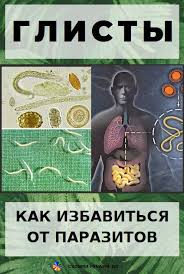 как избавиться от глистов у человека в домашних условиях Glisty Ili Kak Izbavitsya Ot Parazitov Bez Tabletok V Domashnih Usloviyah Zdorove Zdorove Serdca I Psihicheskoe Zdorove