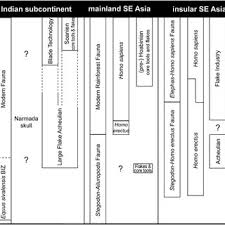 Correlation Chart For Faunal Changes Hominid Fossil Record