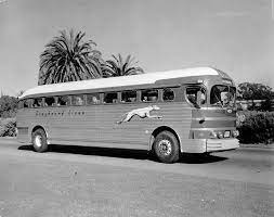 400 Buses Ideas Bus Greyhound Bus Greyhound