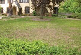 Lawn care & pest control services for prince george's, queen anne's, calvert, st. Good Nature Home