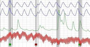 Let's start with the basics. Maryland Lie Detector Tests Polygraph Tests In Maryland