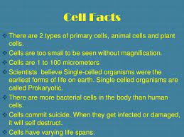 Check spelling or type a new query. Cells Power Point