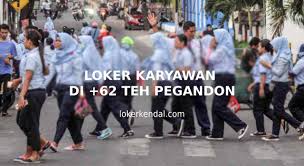 Demi memenuhi kebutuhan tenaga kerja itu, budi karya punya rencana membangun politeknik kemaritiman di jawa barat. New1photojournblog Loker Wadimor Batang Lowongan Kerja Pt Sukorintex Batang Pt Sukorintex Yang Berlokasi Di Shafarova Grosir Sarung Sarung Wadimor Classic Silahkan Di Order Untuk Tarawih Dan Lebaran Kain
