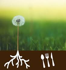 Manger Les Pissenlits Par La Racine In 2020 Dandelion Flowers Plants