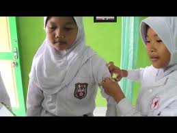Lomba sekolah sehat tingkat nasional tahun 2017 merupakan kegiatan kolaborasi antara kementerian. Profil Sekolah Sehat Tingkat Nasional Sd Sungapan 2018 Youtube
