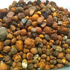 Gastric bezoars can occur in all age groups and often occur in patients with behavior disorders, abnormal gastric emptying, or altered gastrointestinal anatomy. Natural Bezoar Gallstone Cow Bezoar Gallstones Buy Ox Gallstones Ox Cow Gallstone Goat Bezoar Product On Alibaba Com