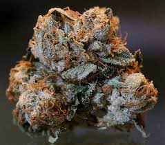 Maybe you would like to learn more about one of these? Kush Cannabis Wikipedia