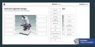 Next we have a blank microscope diagram. Parts Of A Light Microscope Cut And Stick Worksheet Twinkl