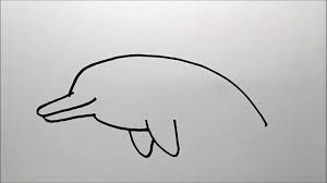 Sketsa gambar burung merak terbaru. Cara Menggambar Lumba Lumba Untuk Anak Tk Paud Dan Sd Youtube