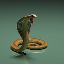 3d Model Cobra Snake 3d Model Cobra Snake King Cobra Snake King Cobra