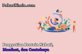 Protein adalah senyawa organik yang kompleks dengan berat molekul tinggi yang terdiri dari asam amino yang terikat oleh ikatan peptida satu sama lain. Pengertian Protein Nabati Manfaat Dan Contohnya Ilmu Kimia