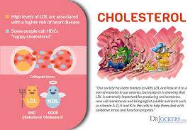 High Cholesterol On A Ketogenic Diet Drjockers Com
